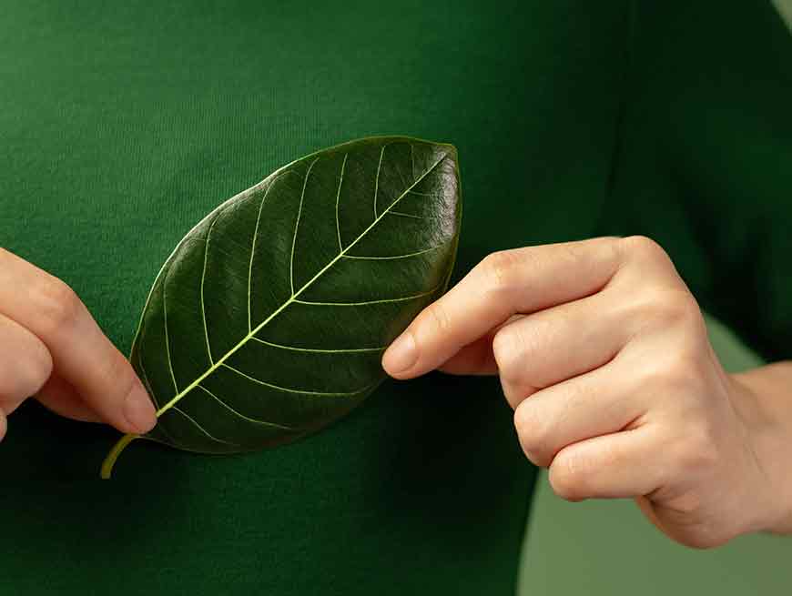 Man met groen shirt houdt groen blaadje vast